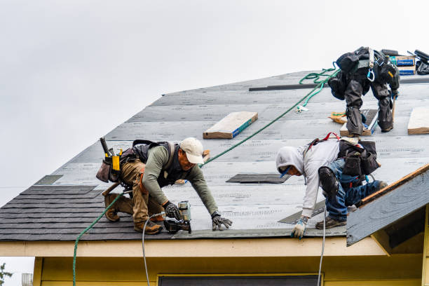 Professional Gutter Installation technician working in Lansing, MN